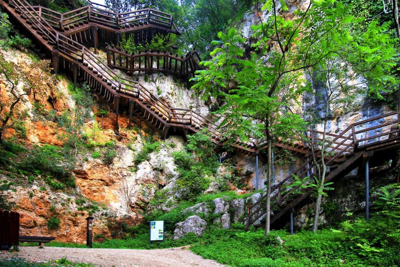 Appartement Scolopax Rusticola With Heated Pool Skradin